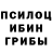 Псилоцибиновые грибы GOLDEN TEACHER Artem Kikabidze