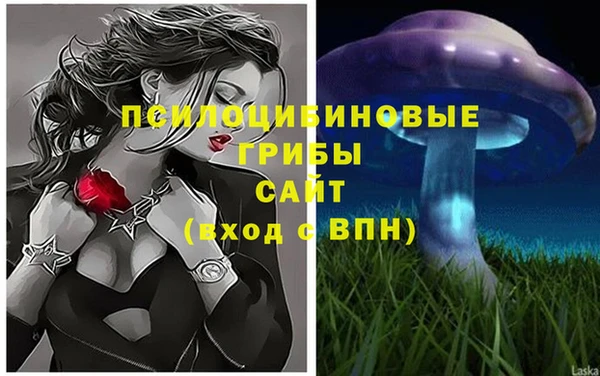 бошки Алзамай